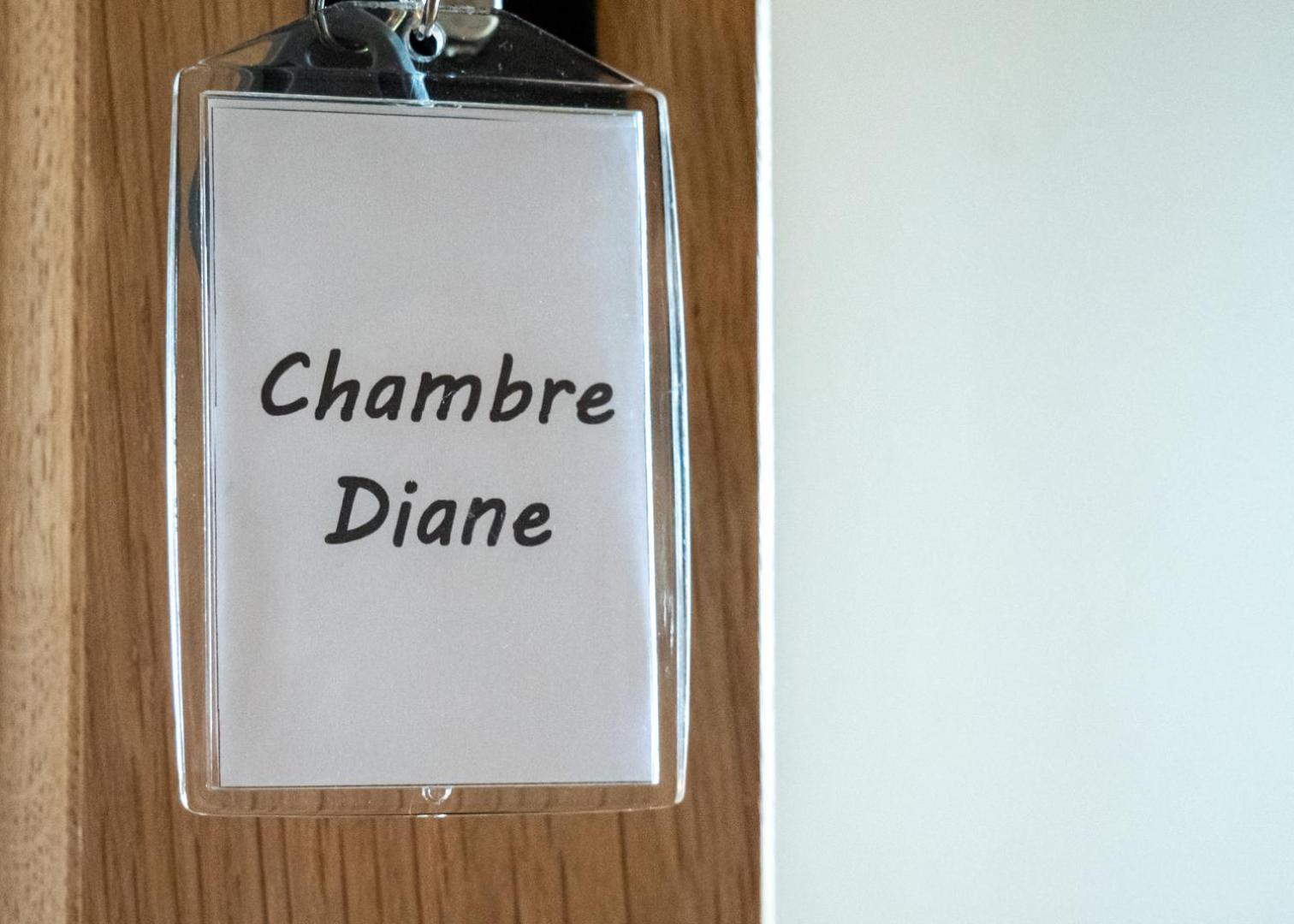 Chateau Du Bertry La Bouexiere Kamer foto